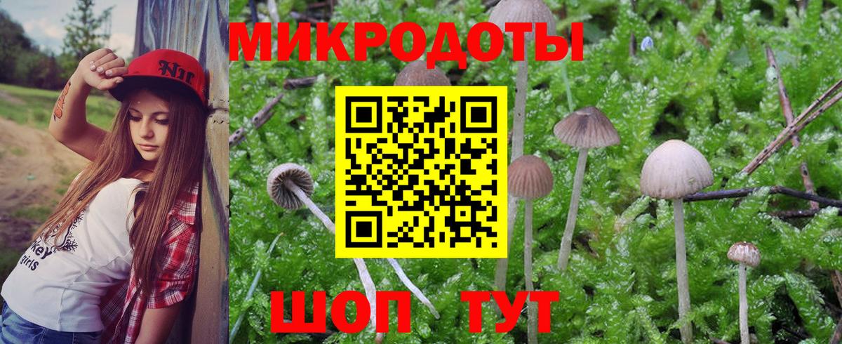 цена   Вход с VPN  Дзержинский  Псилоцибиновые грибы мицелий 